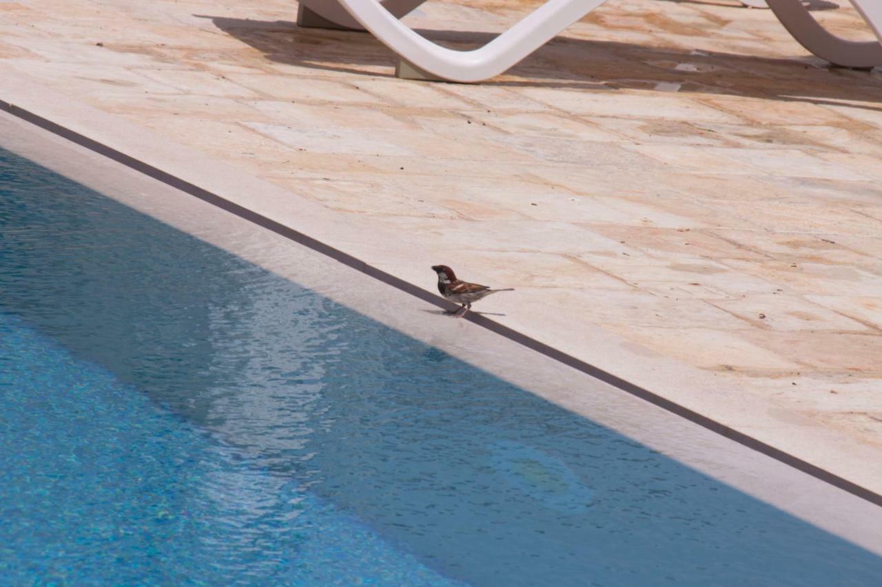 Casale Salento Bed & Breakfast Nardo Luaran gambar